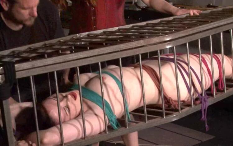 美国女神卡罗琳娜皮尔斯关在笼子里打屁股